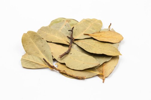 香叶（樟科月桂属植物）_百度百科