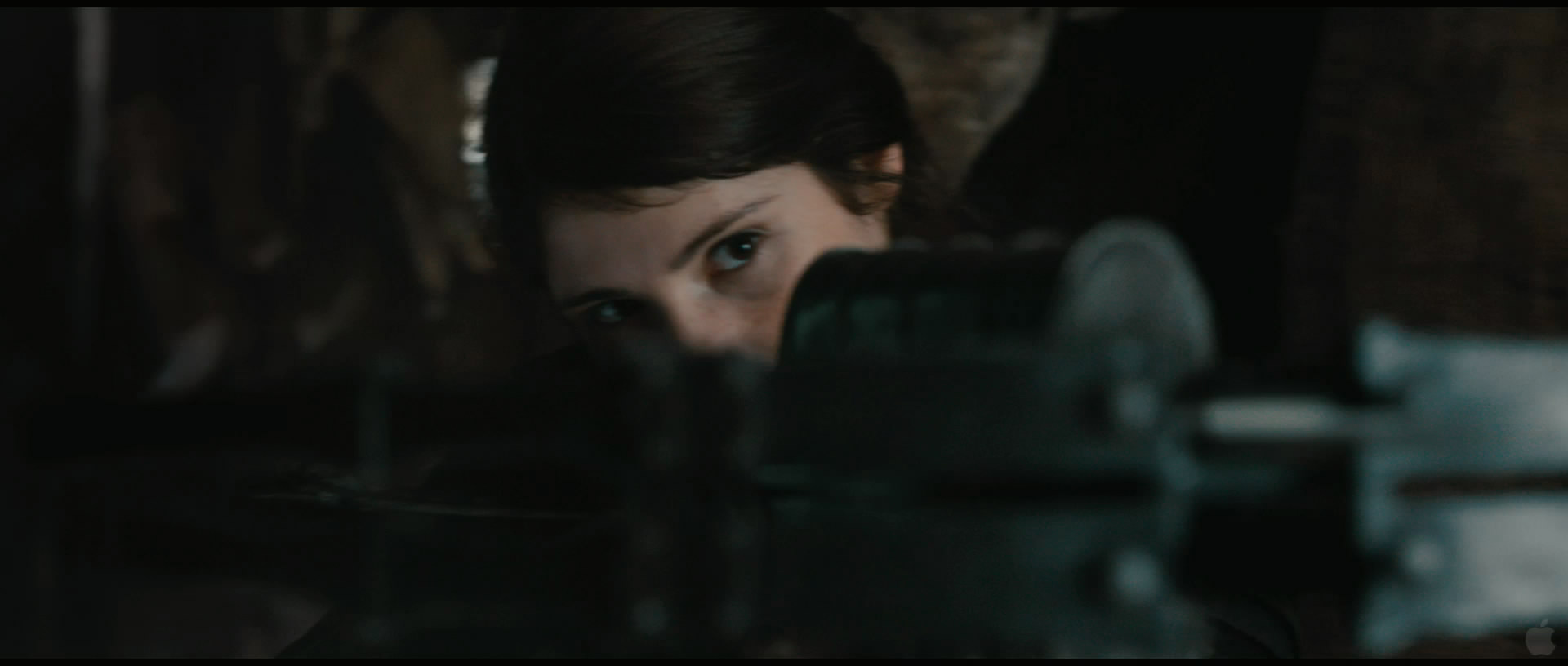 韩赛尔与格蕾特:女巫猎人》是一部融合了3d动作恐怖冒险黑色幽默电影