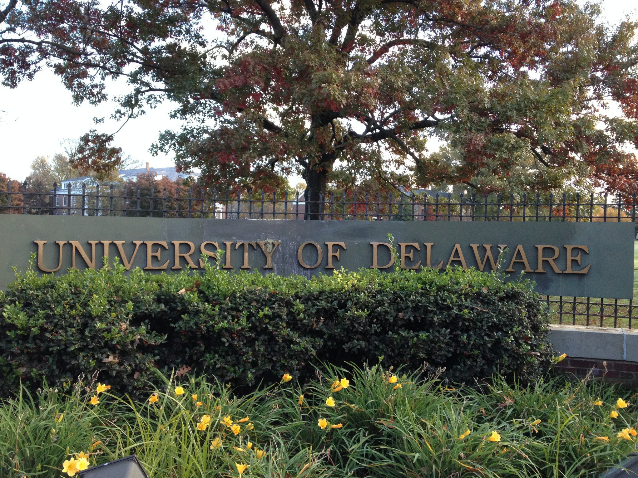 特拉华大学
