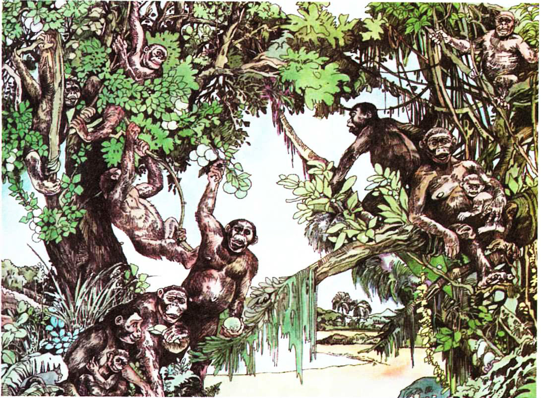  p>森林古猿(dryopithecus)一组种类庞杂的化石 a target="_blank"