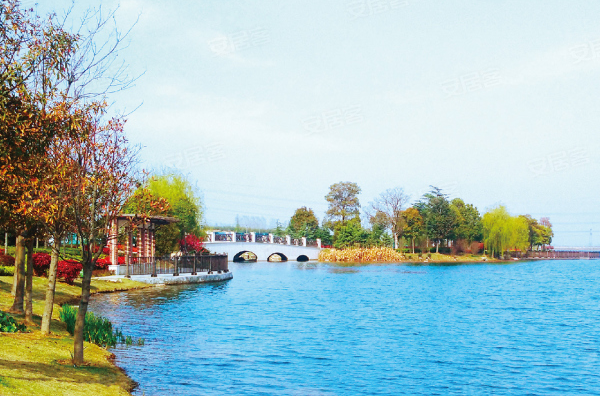 的鹭山湖位于合肥市卧龙山生态园区中部(中国非物质文化遗产园对面)