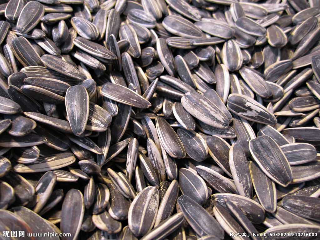 又叫瓜子儿,俗名叫 a target="_blank" href="/item/边果/7373775"