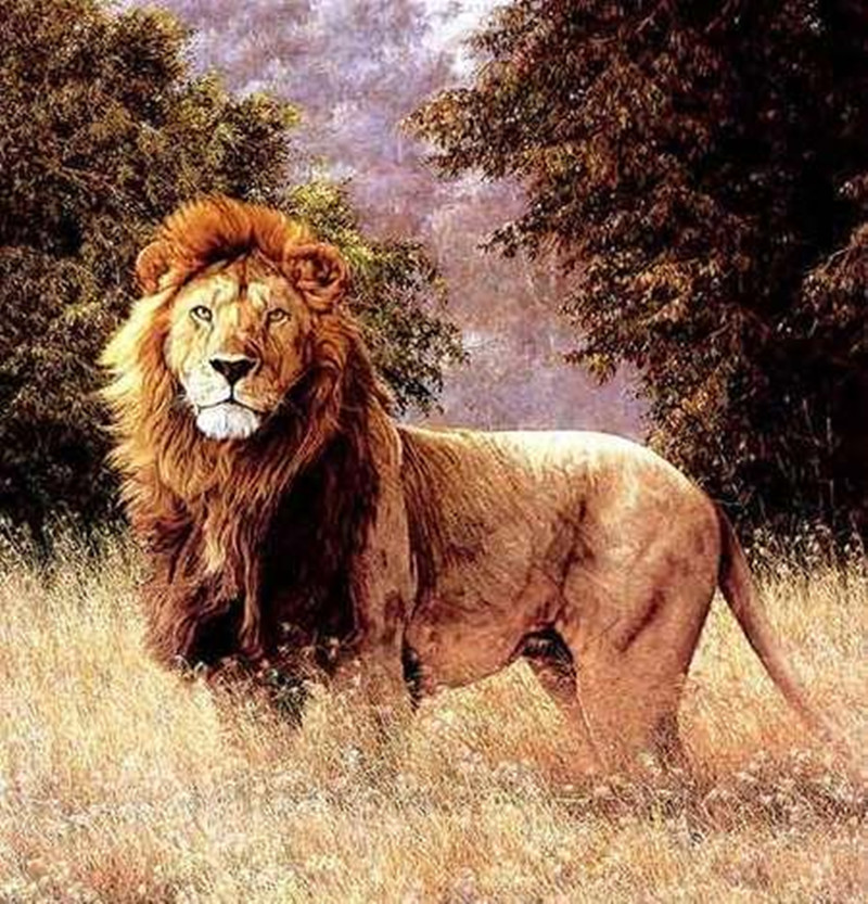  p>欧洲狮(panthera leo europaea)是狮的已灭绝亚种,分布于欧洲南部.