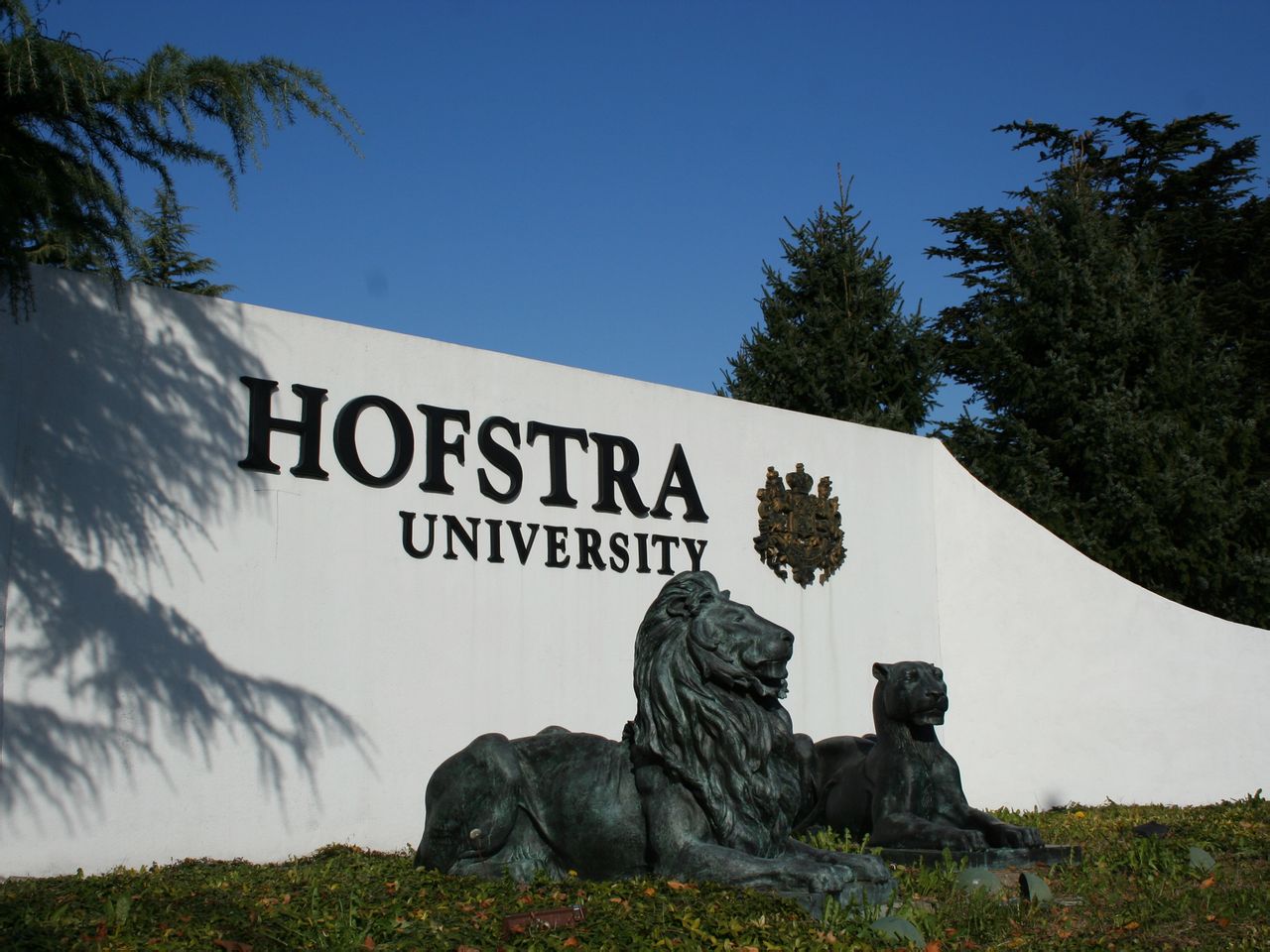 hofstra university