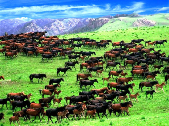  p>山丹军马场于公元前121年由西汉 a target="_blank" href="/item