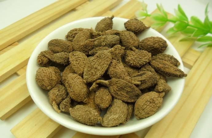  p>红壳砂仁,姜科豆蔻属草本植物,高约2米,为我国独有,生长于竹林中