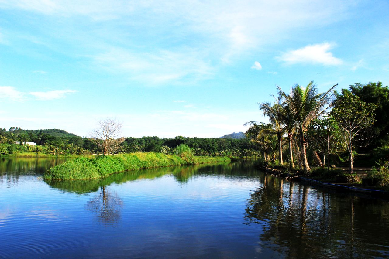  p>金手指·白鹭湖度假区简称金手指白鹭湖,位于海南中部核心——琼中