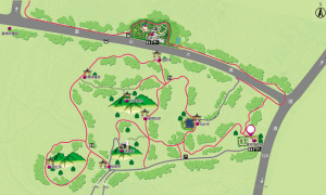 漳州荔枝海公园