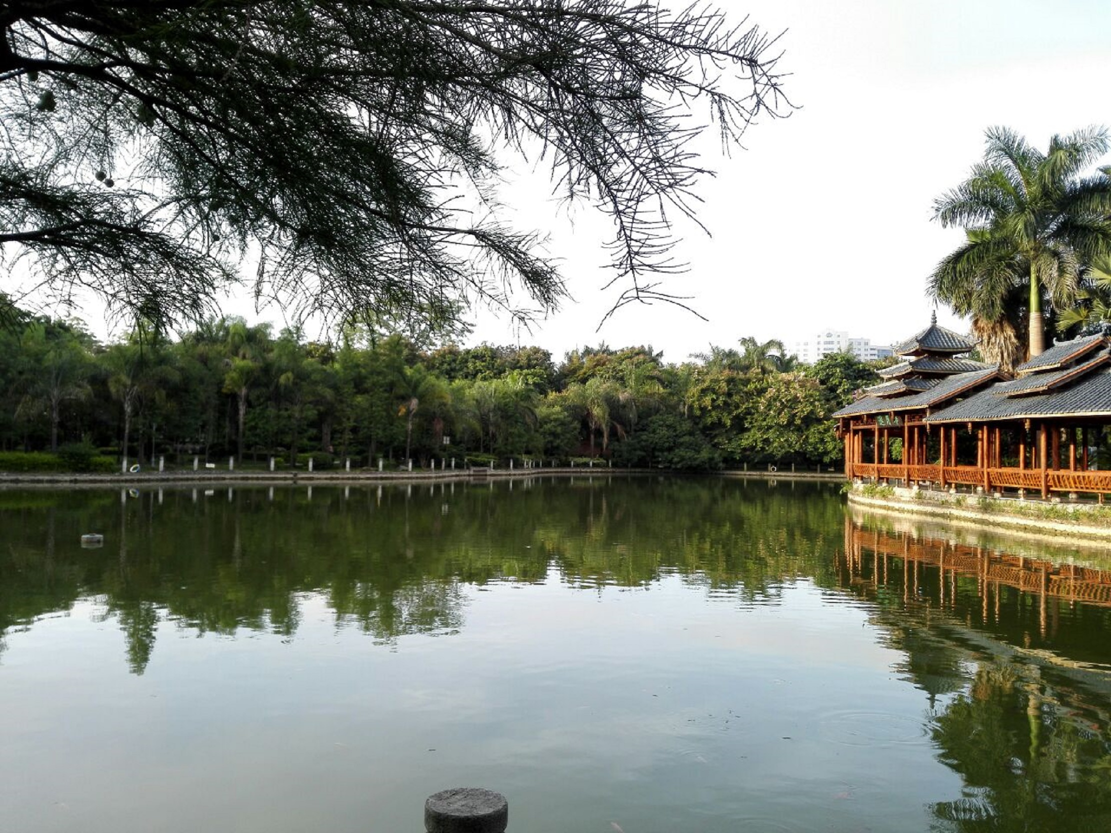  p>金花茶公园是全国首家以种植"花族皇后" a target="_blank" href="