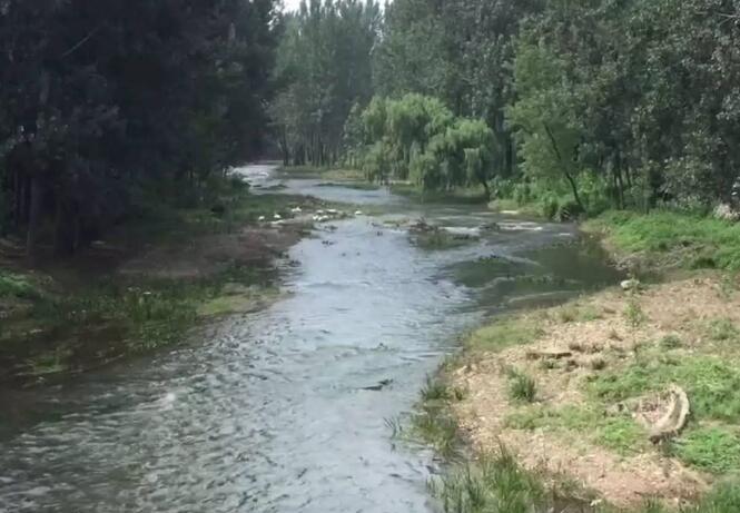  p data-id="go08o7q6aj">车辋镇,隶属于山东省临沂市兰陵县,地处 a