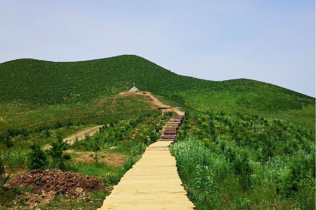 敖包山森林公园