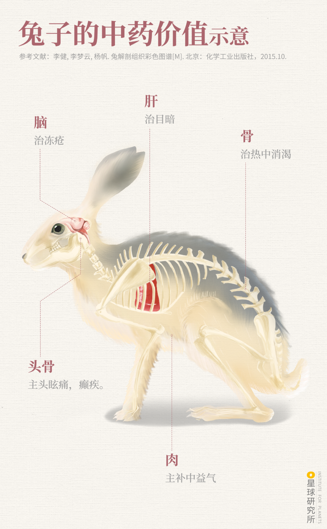 兔年来了！除了可爱，兔兔们还隐藏着怎样的实力？_百科TA说