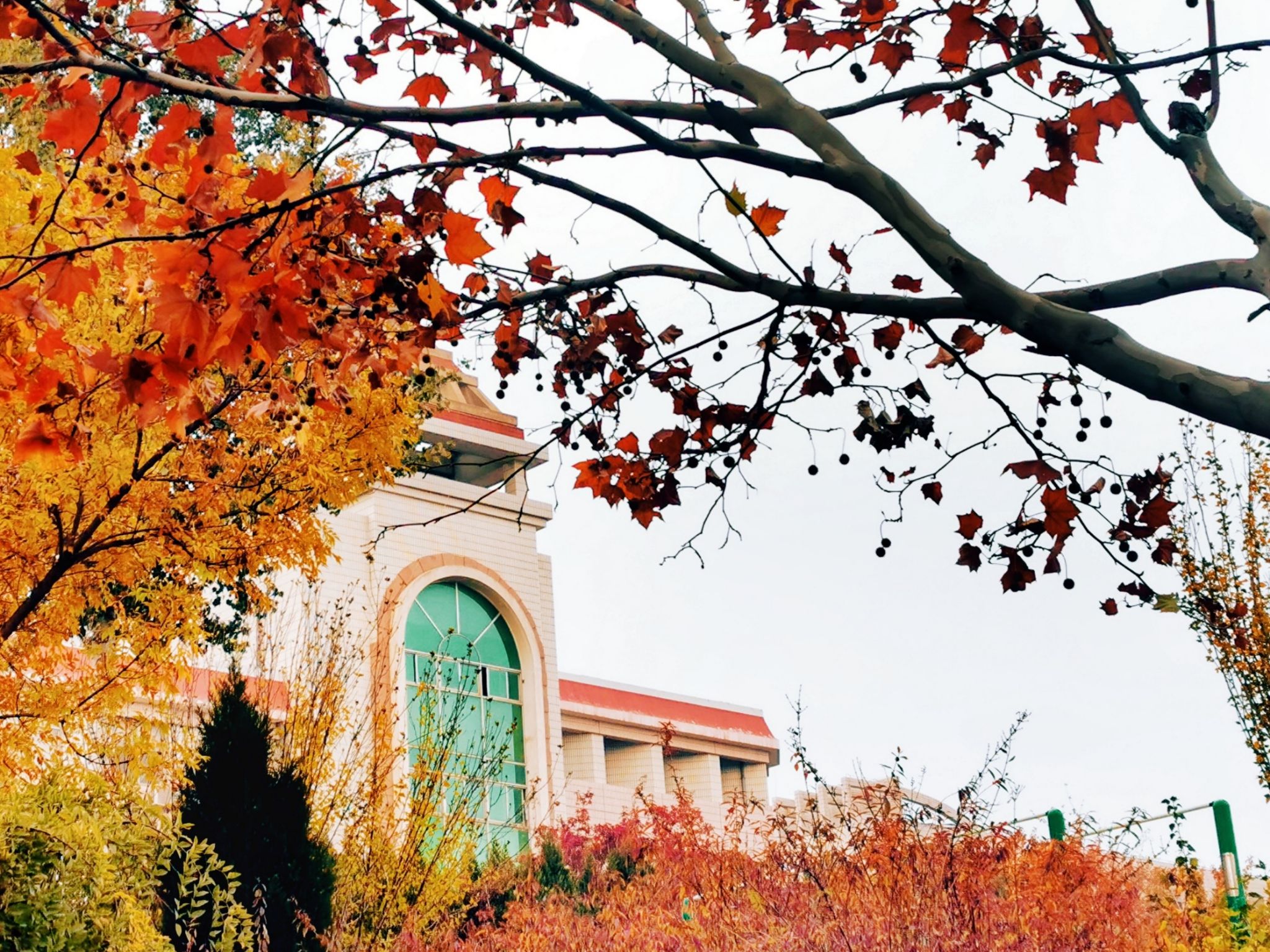 鲁东大学