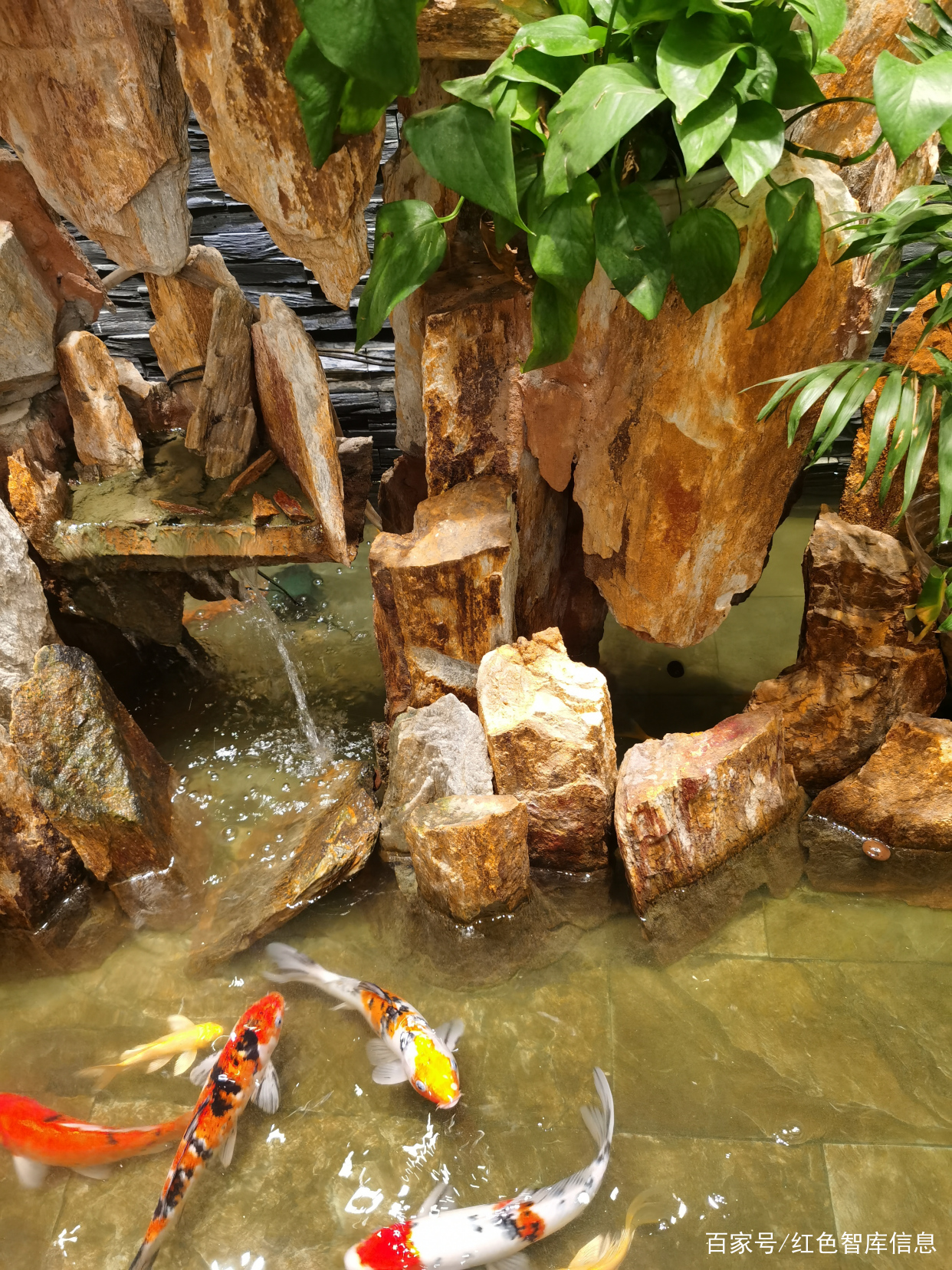 推荐阅读：关于庄子观鱼的感悟_百科TA说