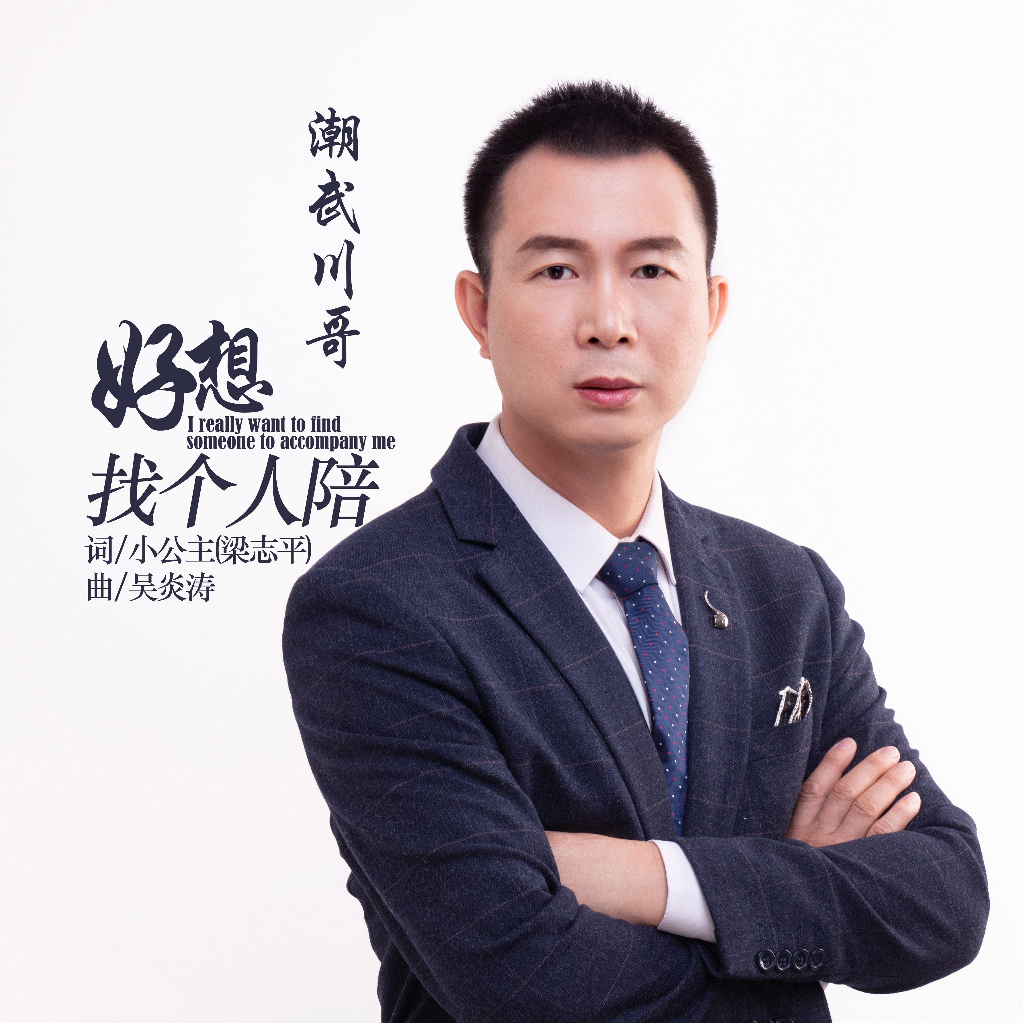 《想找个人陪》是歌手潮武川哥演唱的一首