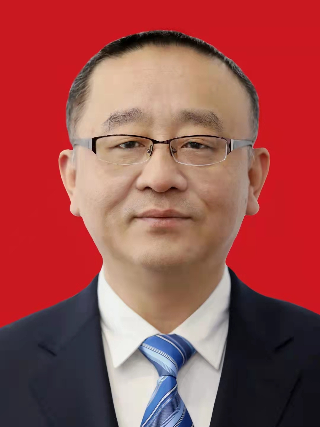 党组成员,市公安局局长,党委书记,督察长