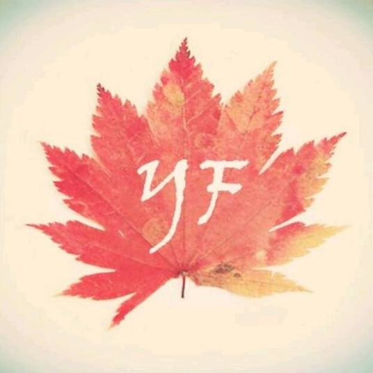 叶枫（自媒体创作者）_百度百科