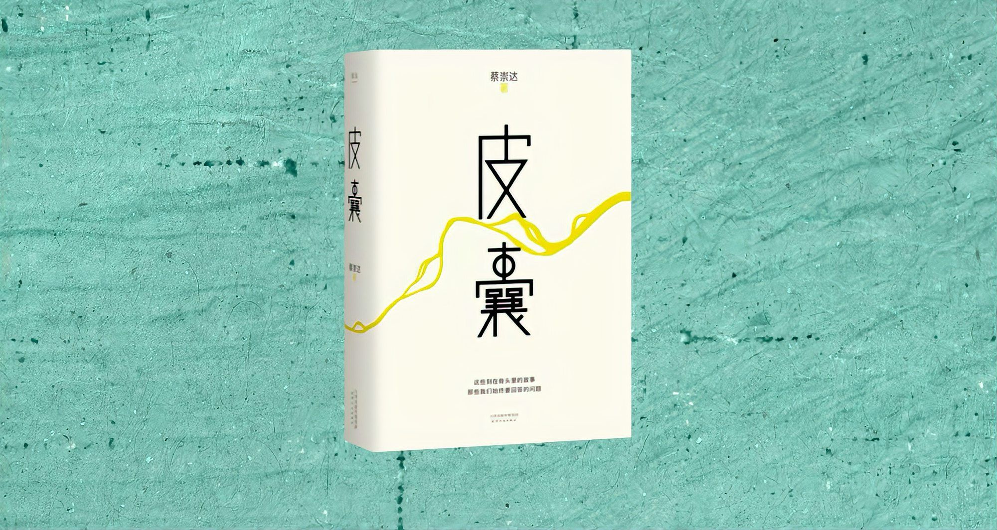 皮囊（蔡崇达创作散文集）_百度百科
