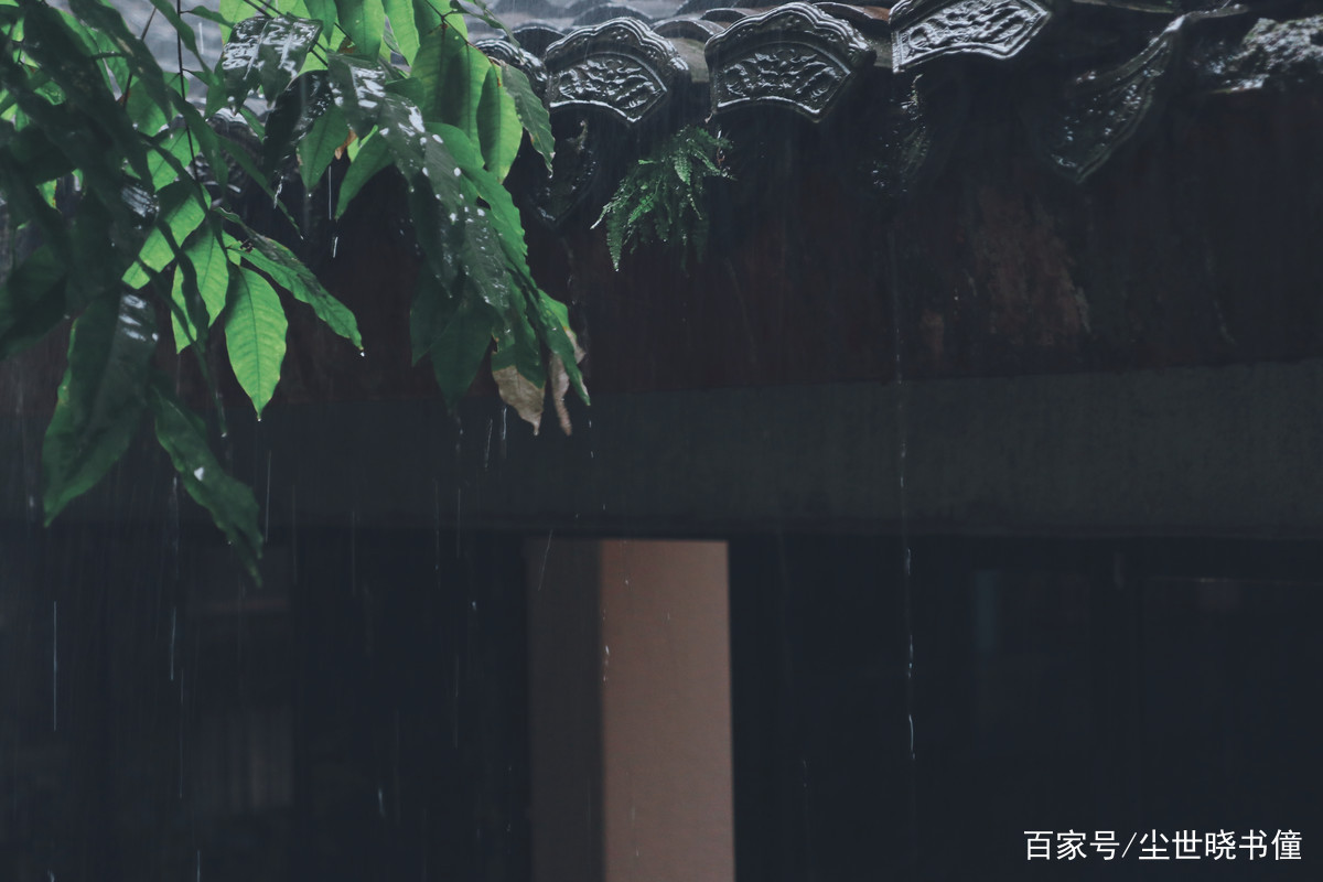 《全唐诗》里一首经典的咏雨诗，不仅写出了新意，同时句句有深意_百科TA说