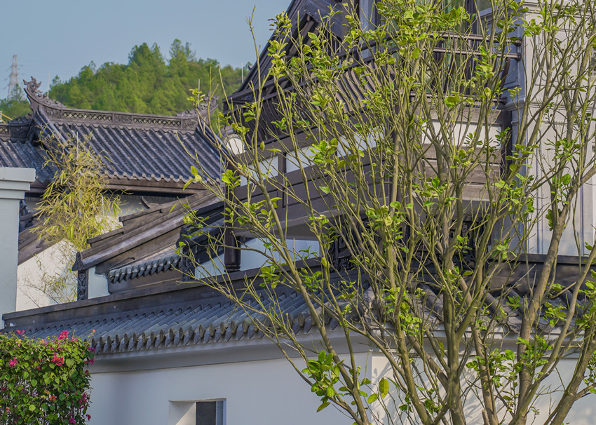 形成"园林包围建筑"的自然生态文化景观,传统艺术与客家建筑相互交融