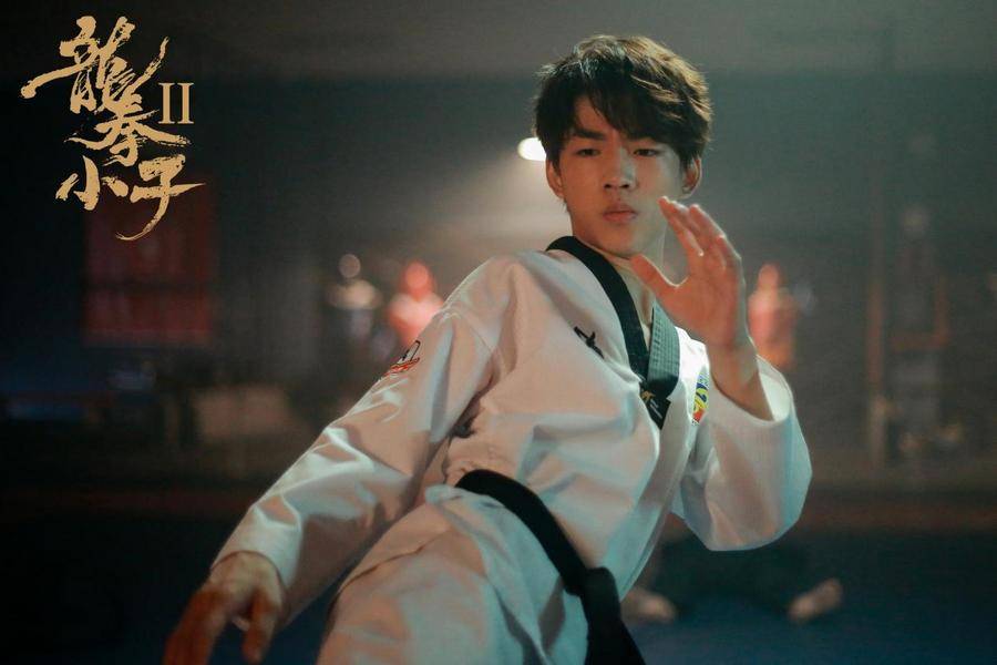 龙拳小子2