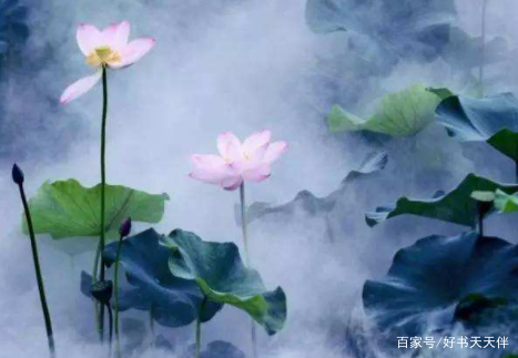 读了这首宋词，才知道夏天的雨也可以这么浪漫_百科TA说