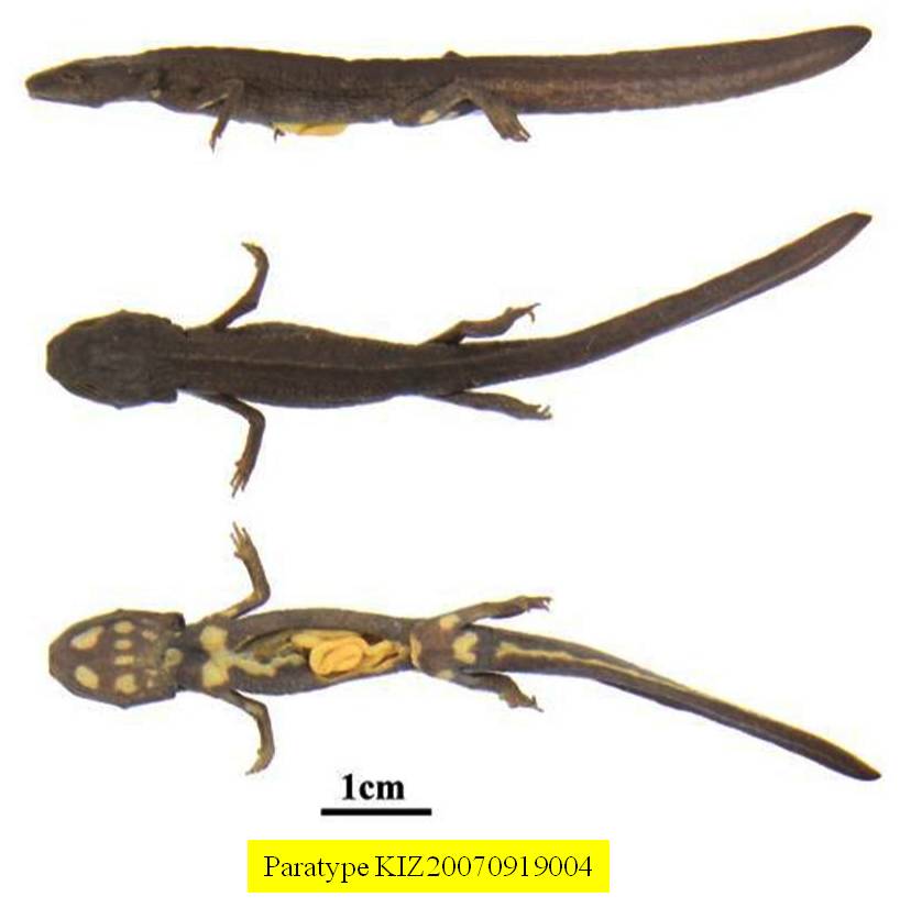 昆明动物博物馆