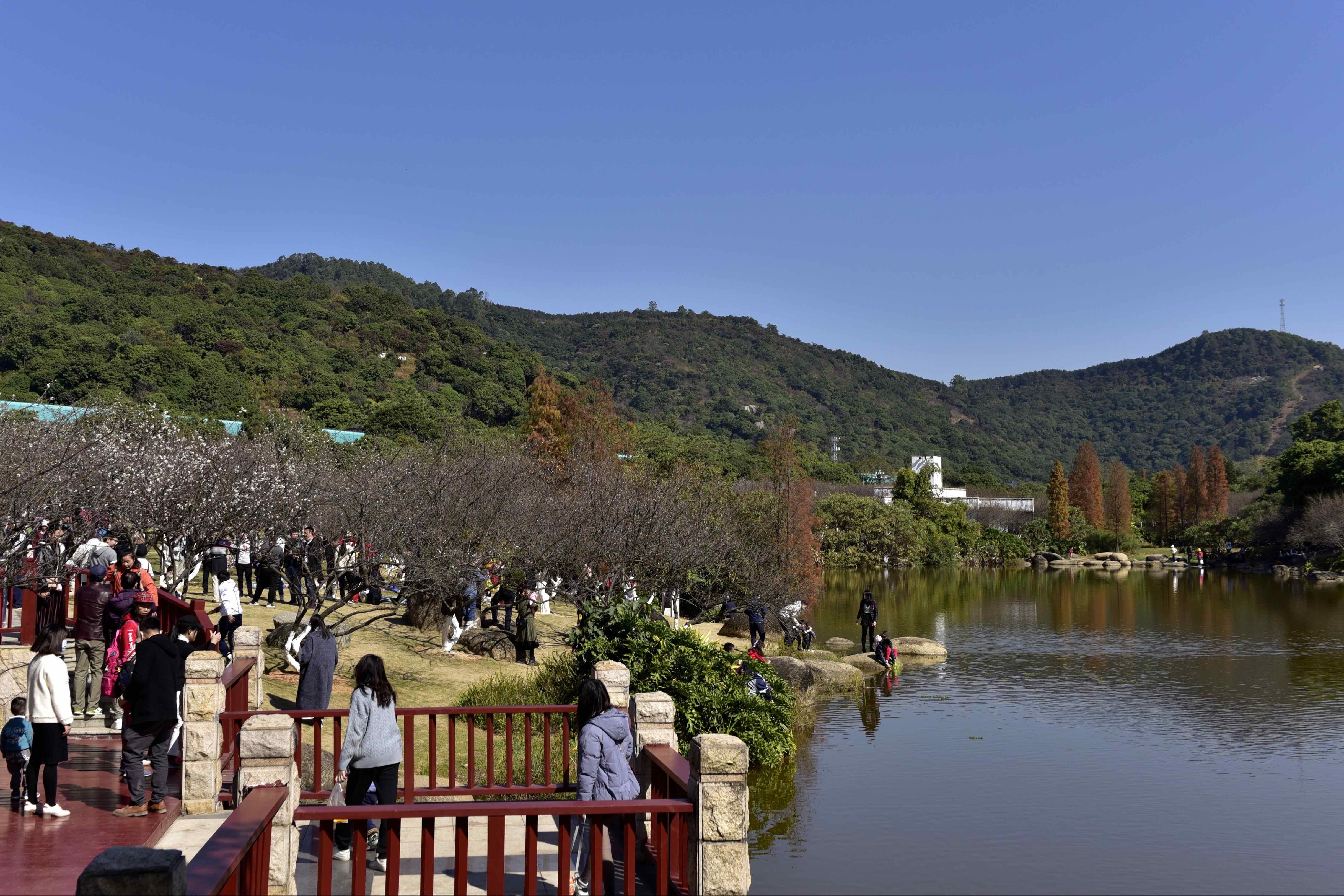  p data-id="gnwmxl28wt">萝岗街道,隶属于广东省广州市黄埔区,地处 a