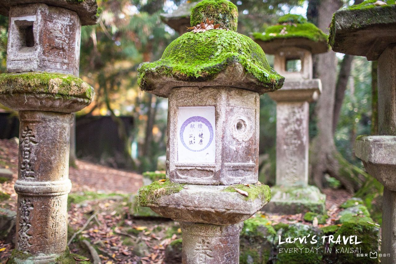 春日大社(かすがじんじゃ)是 a target="_blank" href="/item/奈良县