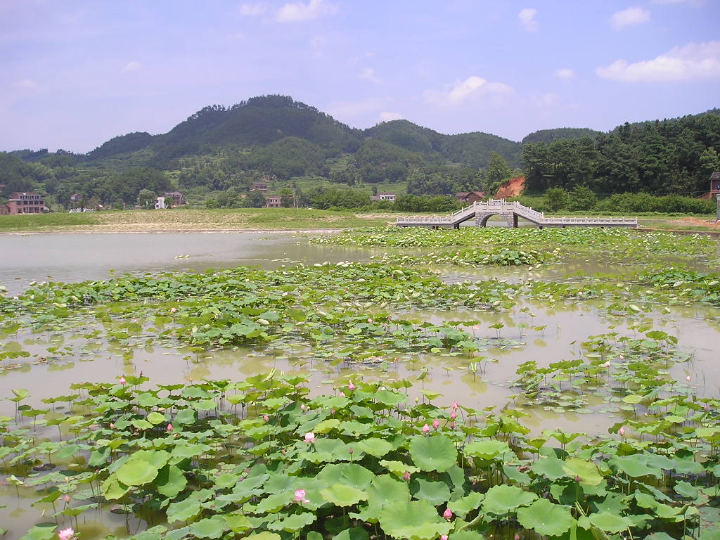  p>&nbsp;荷叶镇,湖南省郴州市桂阳县下辖镇,地处桂阳县南部,东与