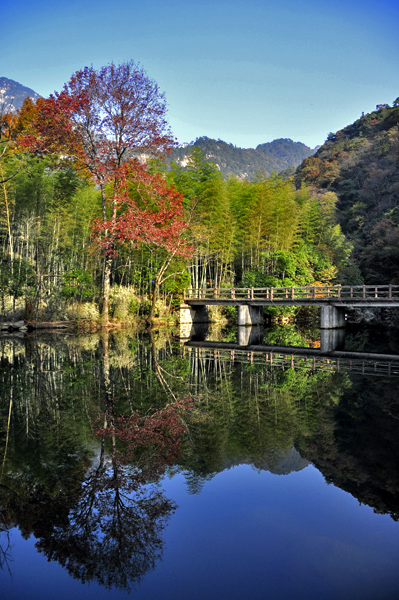 牯牛降风景区