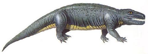  p>蜥螈(seymouria)是产于 a target="_blank" href="/item/北美