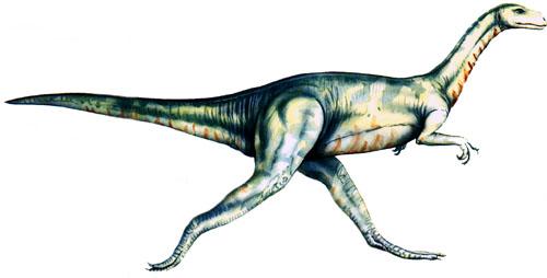 斯基龙(segisaurus)