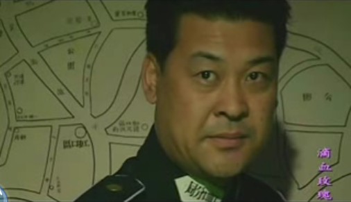  p>《滴血玫瑰》是由中国国际电视总公司出品,冯远征,姜岩执导, a