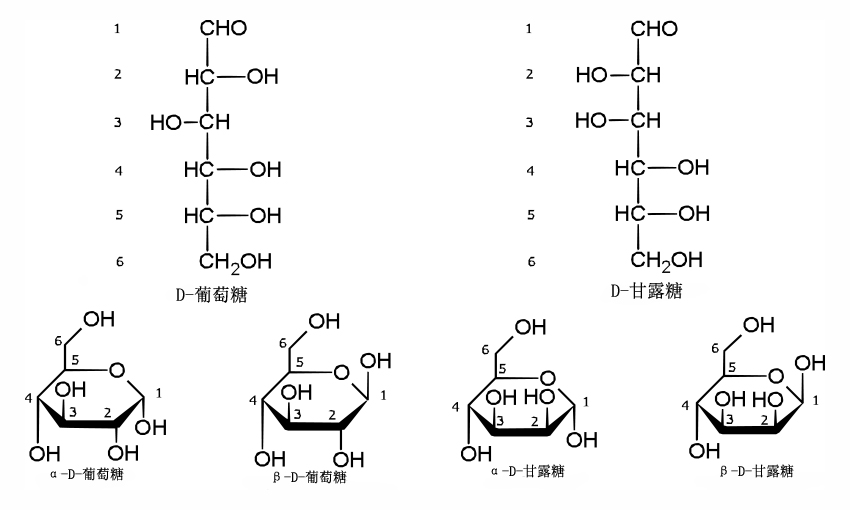  p>己糖(hexose),又称为六碳糖,是含有6个碳原子的单糖.