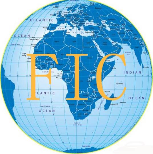 FIC（跨国影视游戏公司）_百度百科