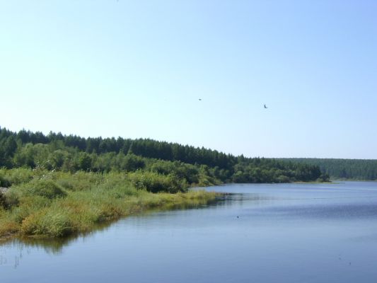  p>兴山区,隶属 a target="_blank" href="/item/黑龙江省/129397"