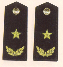 data-id="gnvirrco2e">陆军少将为陆军正军职和副军职军官的主要军衔