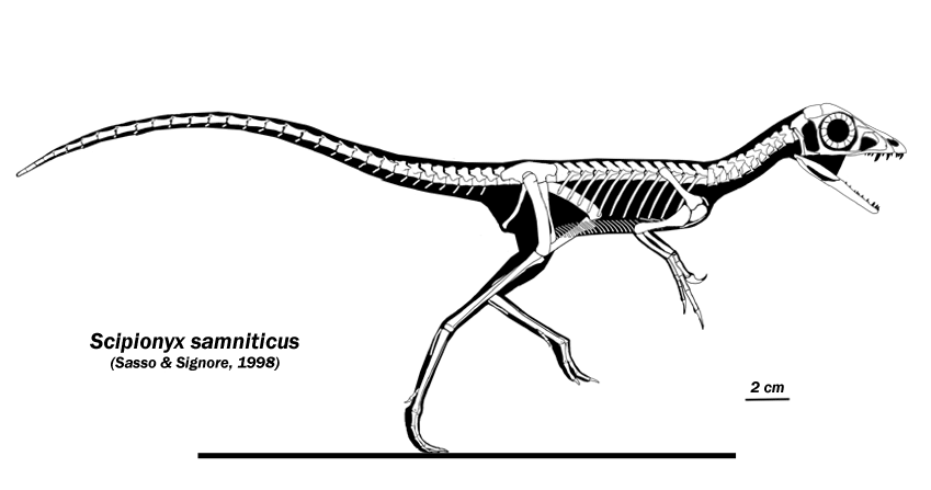  p>棒爪龙(学名scipionyx)又译为思倍欧龙,是 a href="#" data-lemma