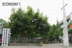 芷江师范学校, b> a target="_blank" href="/item/怀化师范高等专科