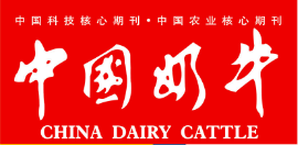 中国奶牛