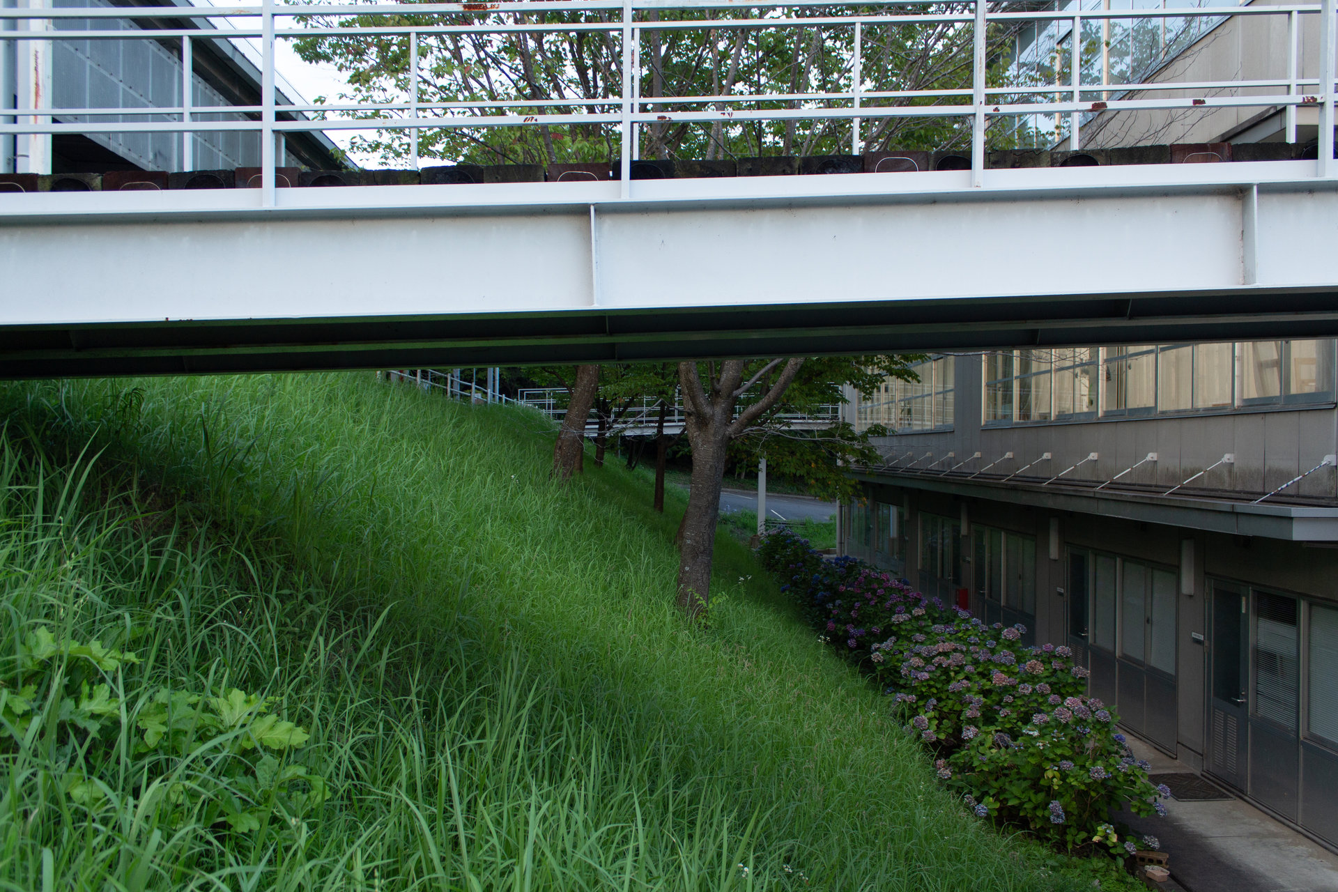  p>成安造形大学(日语:せいあんぞうけいだいがく,英语:seian