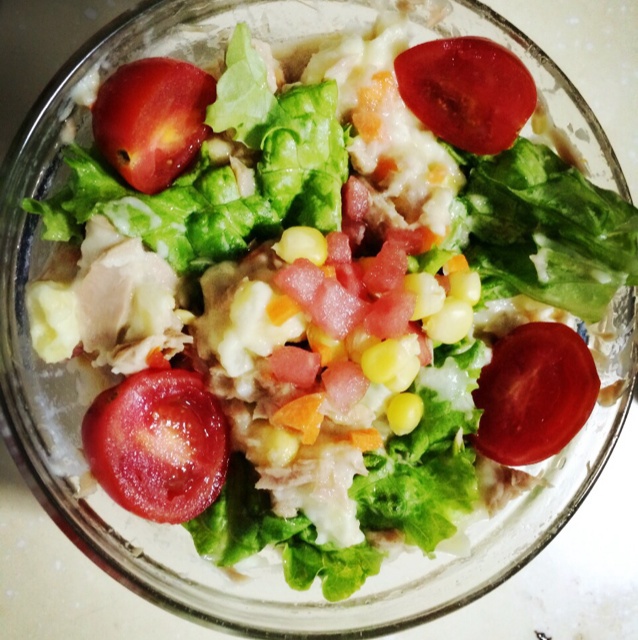 金枪鱼土豆蔬菜沙拉
