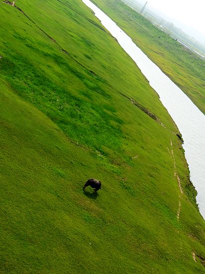 hubei province qichun county red east town