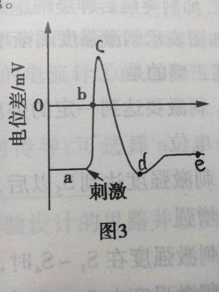 去极化_百度百科