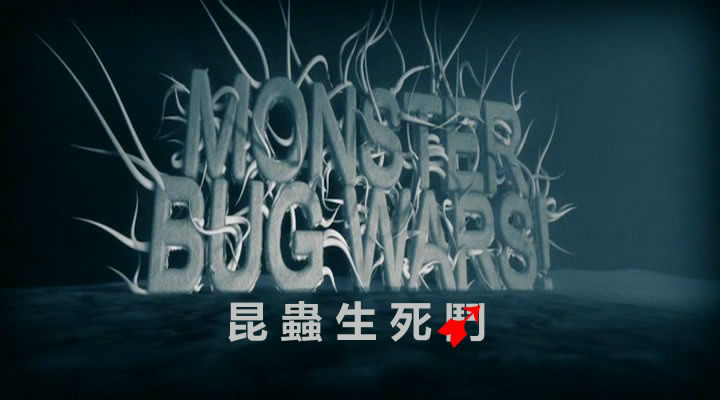 职业摔角手或终极格斗冠军,他们全都比不上《昆虫生死斗》草地上那些