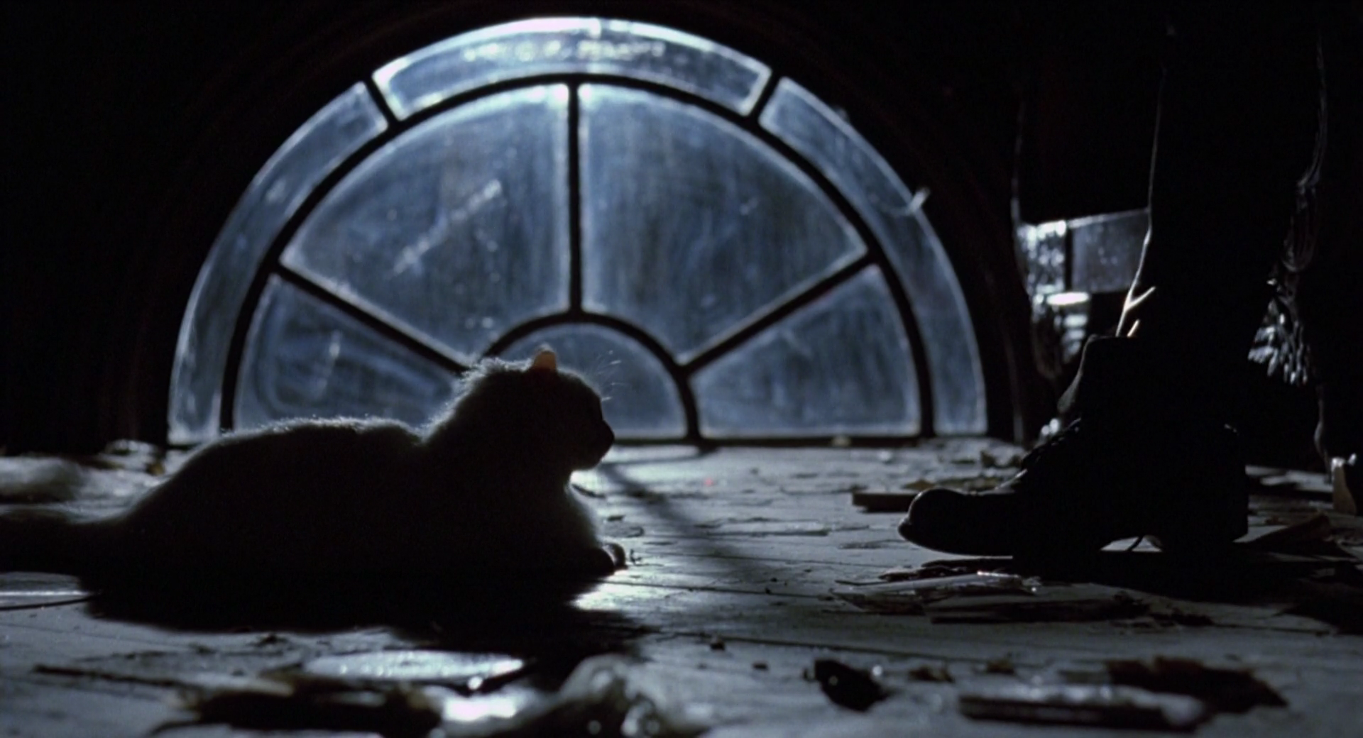 乌鸦thecrow(1994)