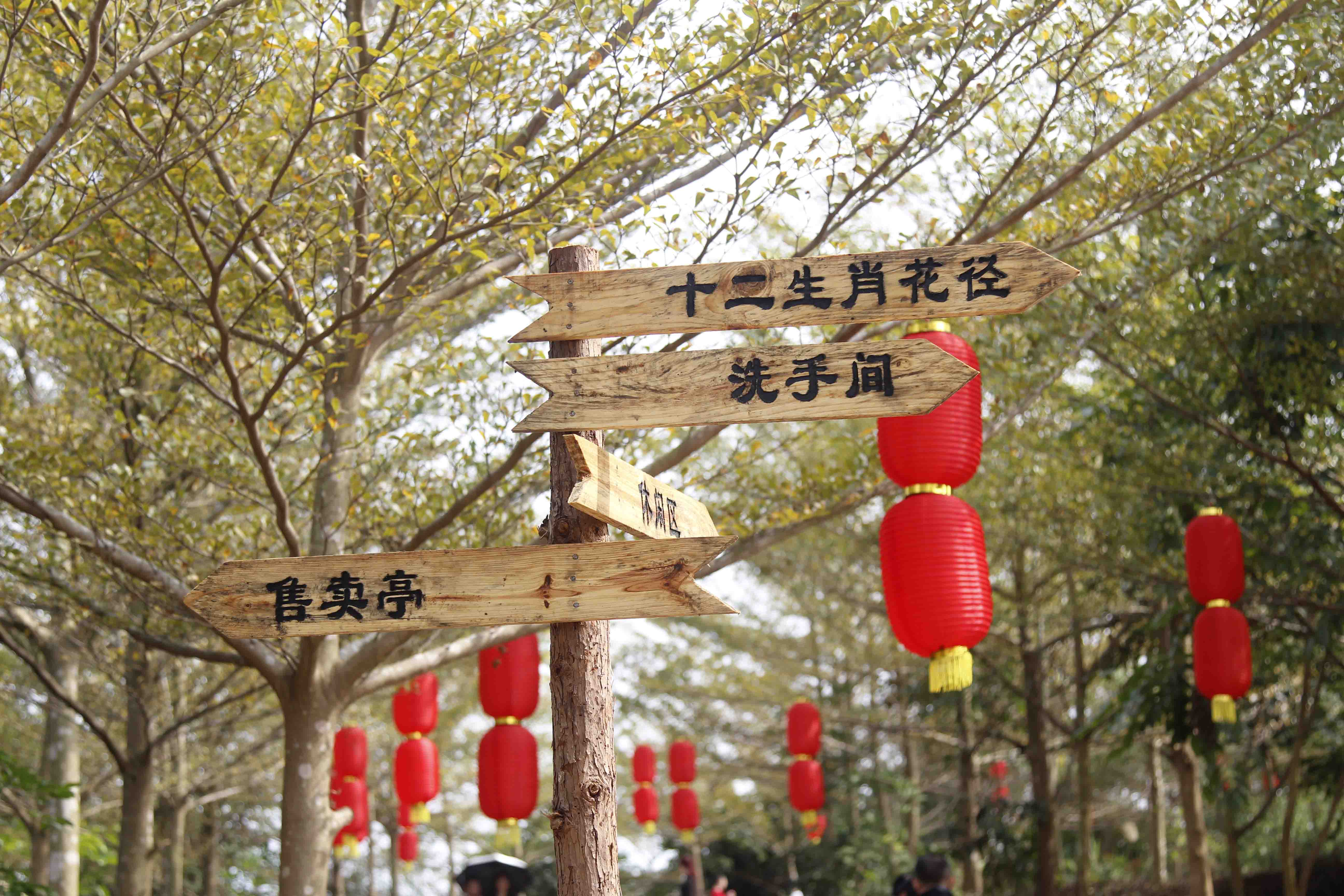  p data-id="gnyutlwy9w">罗定休闲公园(花仙谷),2016年11月1日立项