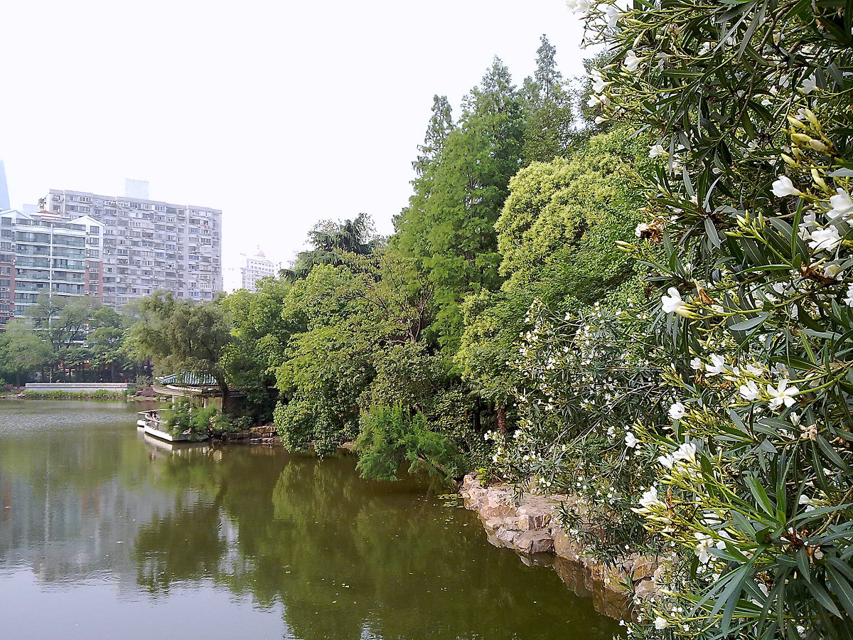 zfp">天山公园位于<a target="