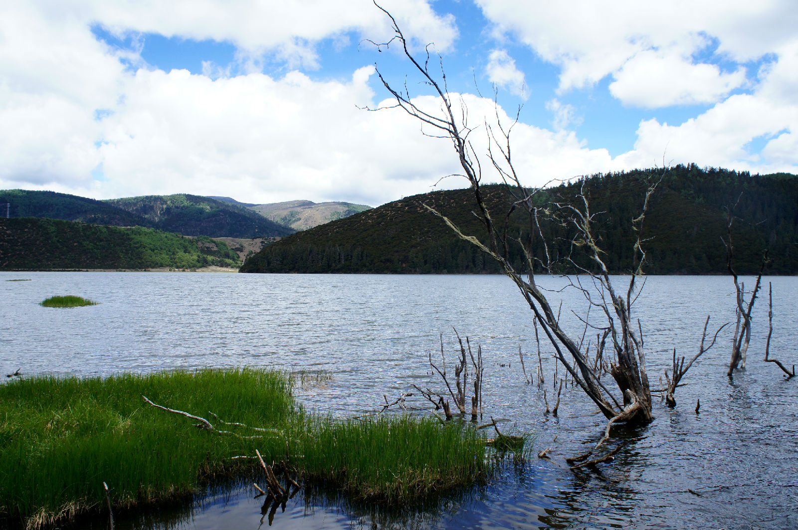 碧塔海自然保护区